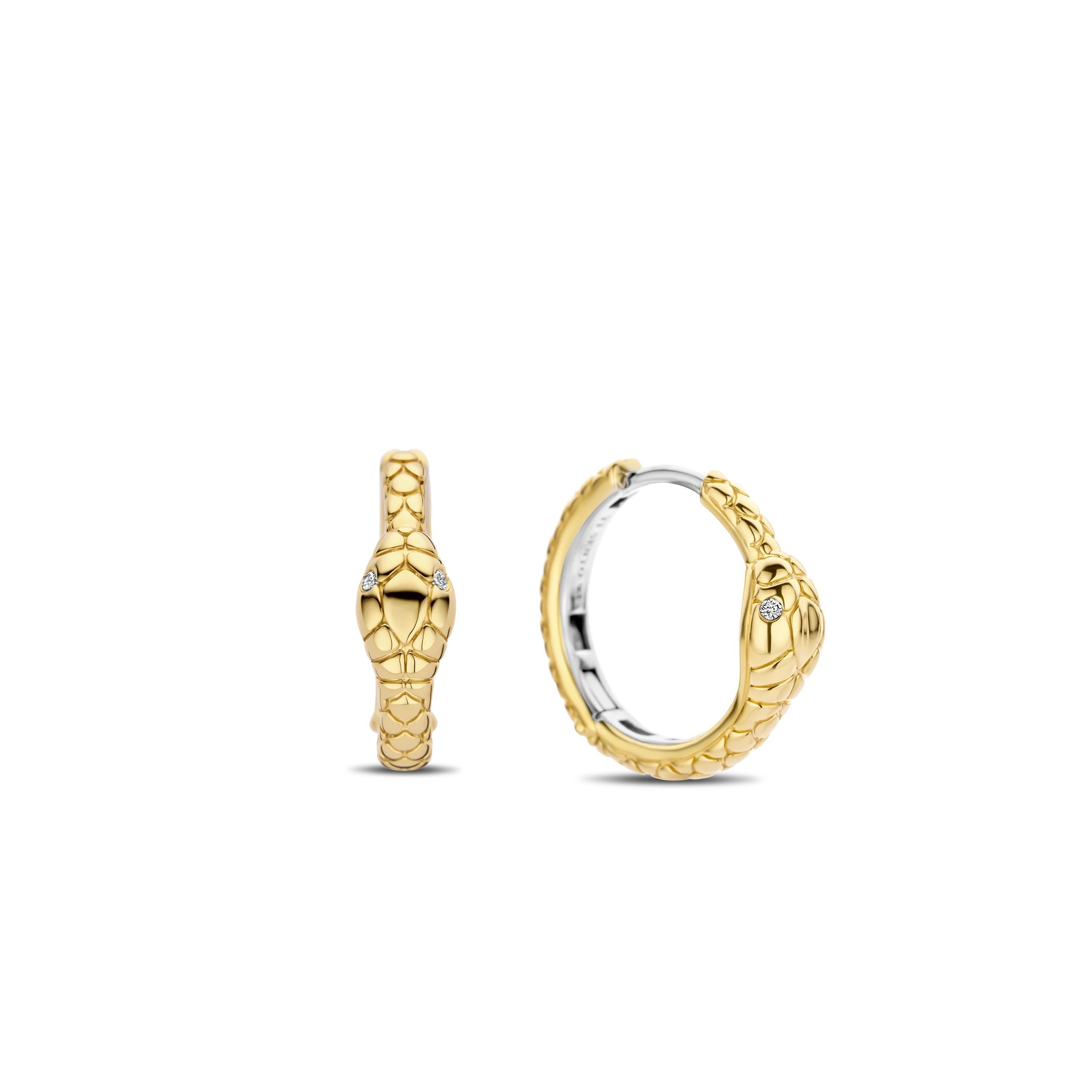 Snake Hoops