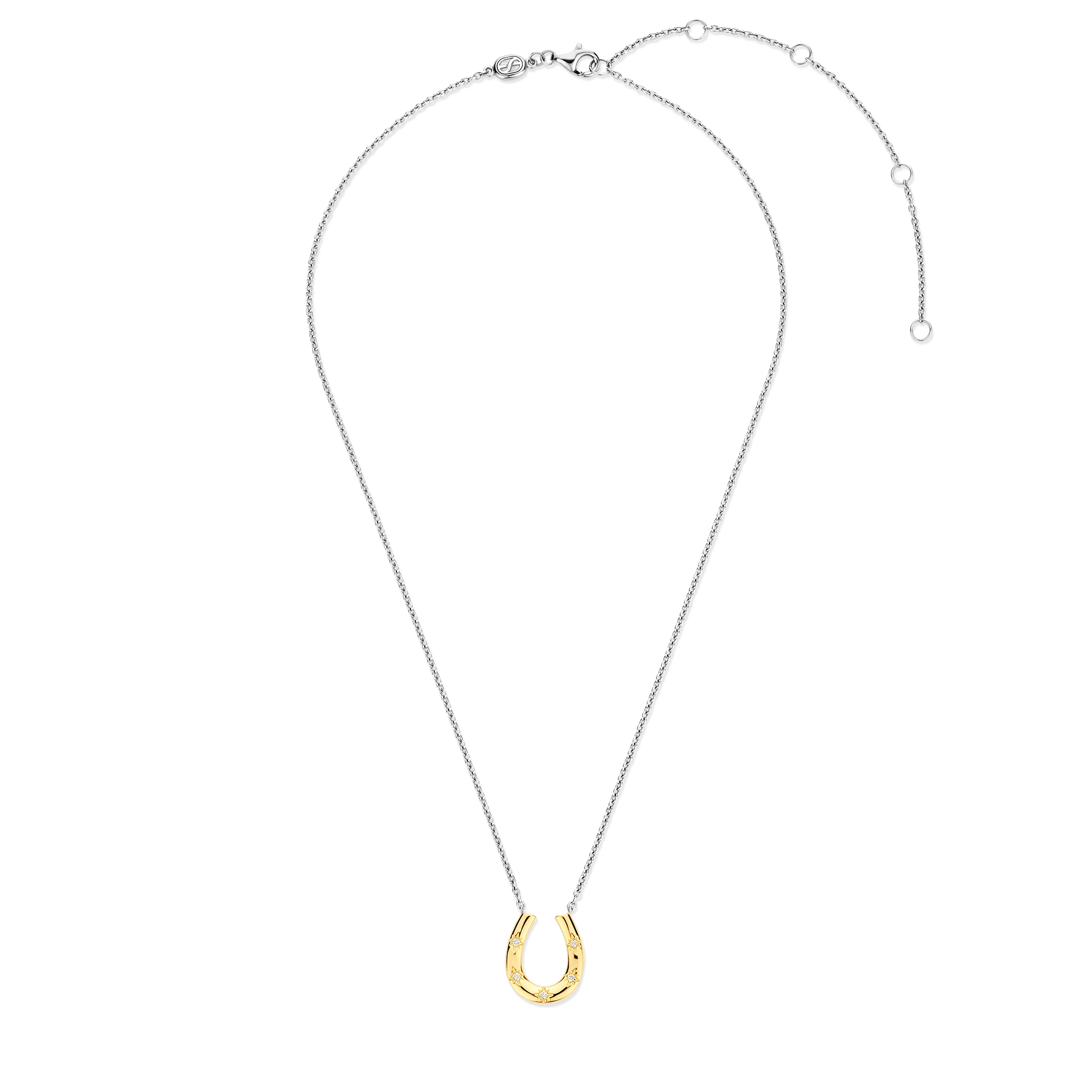 Hoefijzer Ketting - Image 4